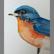 Michelle McLaren - Mr Bluebird watercolor by Michelle McLaren