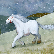 White Horse by Johanna Husband
