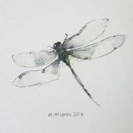 Michelle McLaren - Dragonfly watercolor by Michelle McLaren